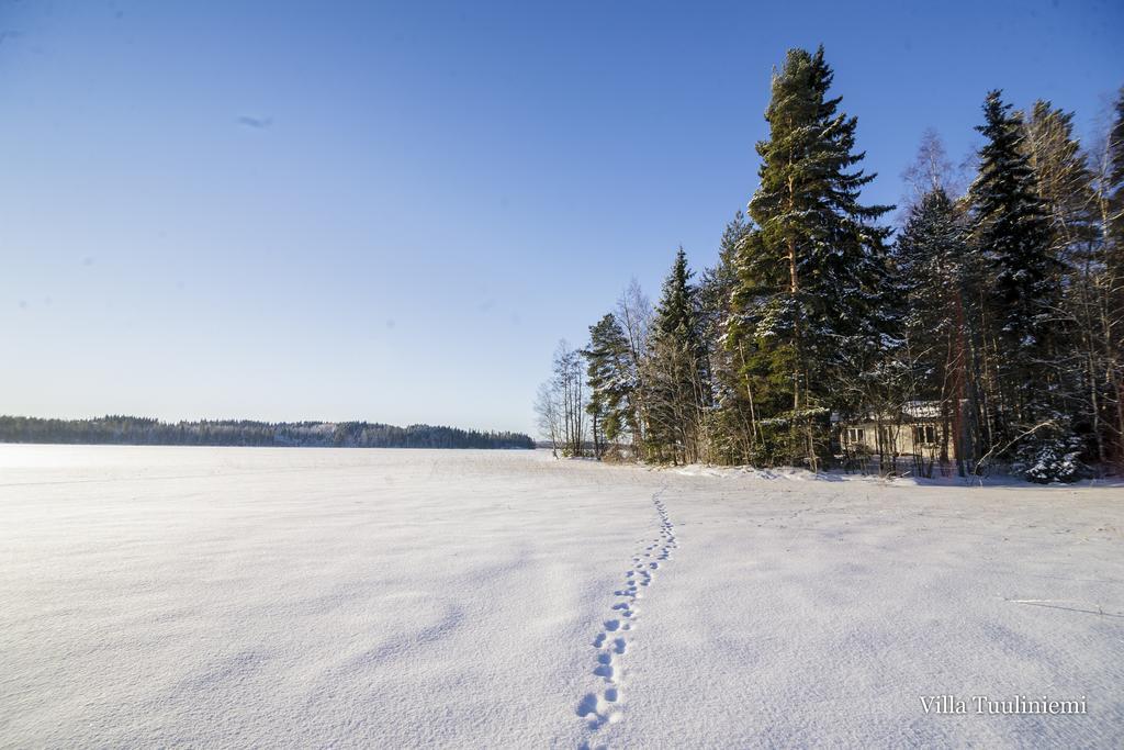 Villa Tuuliniemi Muurame Bilik gambar